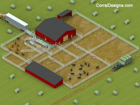 Corrals For Cattle, Cattle Farming Layout, Show Cattle Barn, Cattle Facility, Cattle Pens, Cattle Corrals, Livestock Barn, Cattle Barn, Cow Pasture