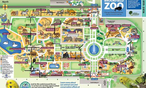 Walking Map of Brookfield Zoo Zoo Exhibit, Zoo Map, Exhibit Ideas, Brookfield Zoo, Zoo Ideas, Walking Map, Cities Skylines, Learn To Code, Swan Lake