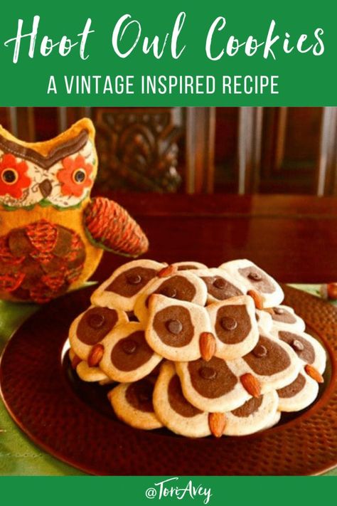 Hoot Owl Cookies - A vintage-inspired recipe using checkerboard sugar cookie dough, chocolate chips Owl Cookies Royal Icing, Checkerboard Cookies, Owl Cookies, Silicone Baking Sheet, Royal Icing Recipe, Delicious Thanksgiving, Sugar Cookie Dough, Kosher Recipes, Hoot Owl