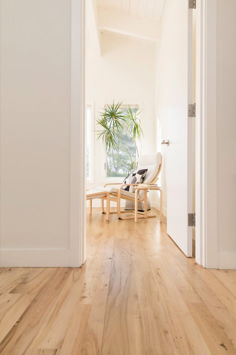 Longleaf Lumber - Reclaimed Maple Home Light Matte Wood Floors, Light Maple Hardwood Floors, Hardwood Floors Light Color, Maple Floors Kitchen, Natural Maple Flooring, Light Maple Floors, Maple Wood Floors, Natural Maple Floors, Timeless Wood Floors