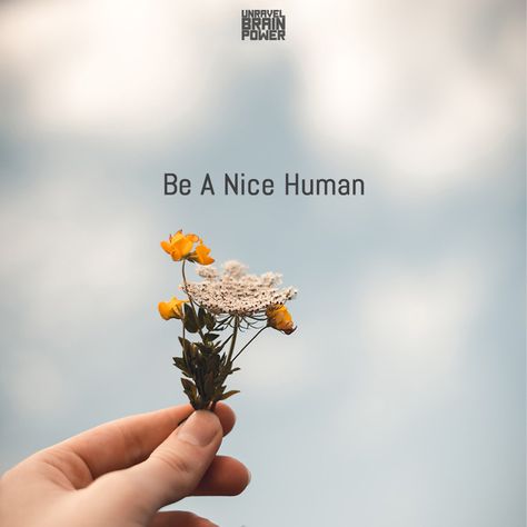 Be A Nice Human Quotes, Be A Good Human Quote, Human Quotes, Act Of Kindness Quotes, Be A Good Human, Good Human, Humanity Quotes, Too Late Quotes, Self Improvement Quotes