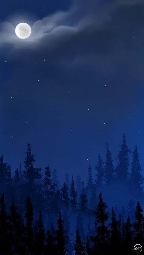 Forest Night Sky Painting, Digital Night Sky, How To Draw Night Sky Digital, Night Sky Drawing Digital, Forest At Night Art, Night Sky Reference, Night Sky Phone Wallpaper, Drawing Night Sky, Night Time Background