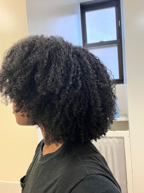 natural hair, type 4 hair, 4b hair, 4a hair, coily hair, curly hair, natural hair inspo, wash and go, type 4 wash and go, 4b wash and go 4b Wash And Go Natural Hair, 4b Wash And Go, Type 4 Wash And Go, Wash And Go Natural Hair Type 4, Afro Hair Types, 4a Hair Type, Hair Consultation, Long Hair Growth, 4a Hair