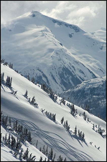 Skiing on Whistler Mountain by millardog, via Flickr #whistler Whistler Photography, Whistler Canada Winter, Canada Summer Outfits, Whistler Canada Summer, Activities For Teenagers, Whistler Mountain, Whistler Ski, Monte Everest, Skiing Aesthetic