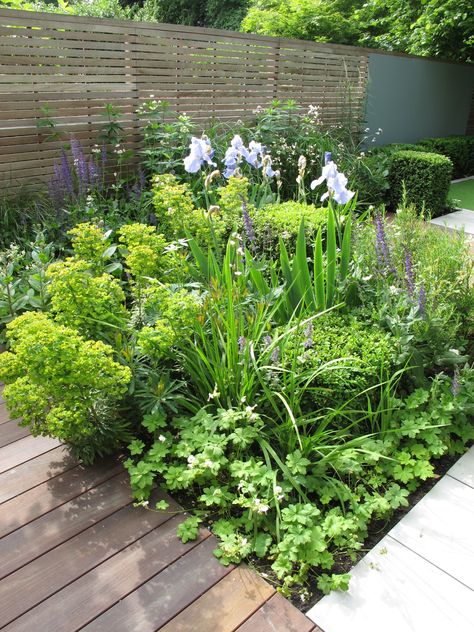 Planting Schemes Uk, Green And White Border Garden, Bog Garden Plants Uk, Geranium White, Astrantia Major Combination, Euphorbia Plant, Sedum Matrona, French Garden Design, Planting Combinations