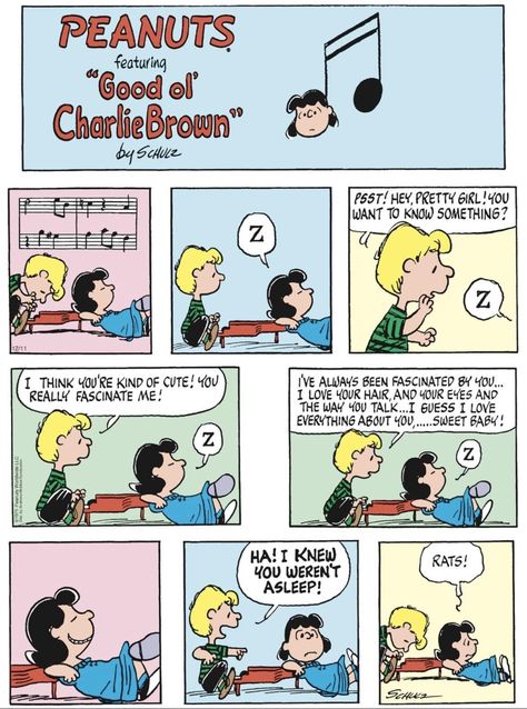 Schroeder And Lucy, Lucy And Schroeder, Lucy Charlie Brown, Peanuts Snoopy Comics, Charlie Brown Comics, Charlie Brown Characters, Snoopy Comics, Lucy Van Pelt, Peanuts Comic Strip