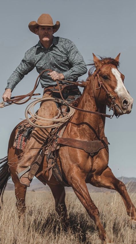 Rodeo Pose Reference, People On Horse Reference, Western Cowboy Photography, Cowboy Body Reference, Two People On Horseback, Cowboy On Horse Photography, Cowboy Riding Horse Reference, Cowboy Horse Photography, Cowboy On Horse Reference