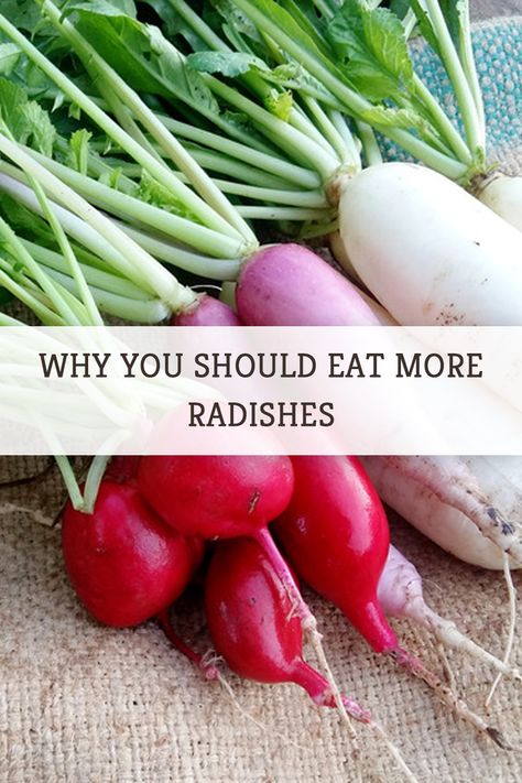 Besides being the cutest darn things in the produce aisle, radishes offer a range of benefits that we think should earn them a spot in your home kitchen vegetable lineup. #radish #radishes #vegetables #foodfacts Radish Nutrition Facts, French Radish Recipes, Ways To Eat Radishes, Cooking With Radishes, How To Use Radishes, Types Of Radishes, What To Make With Radishes, Things To Do With Radishes, How To Eat Radishes