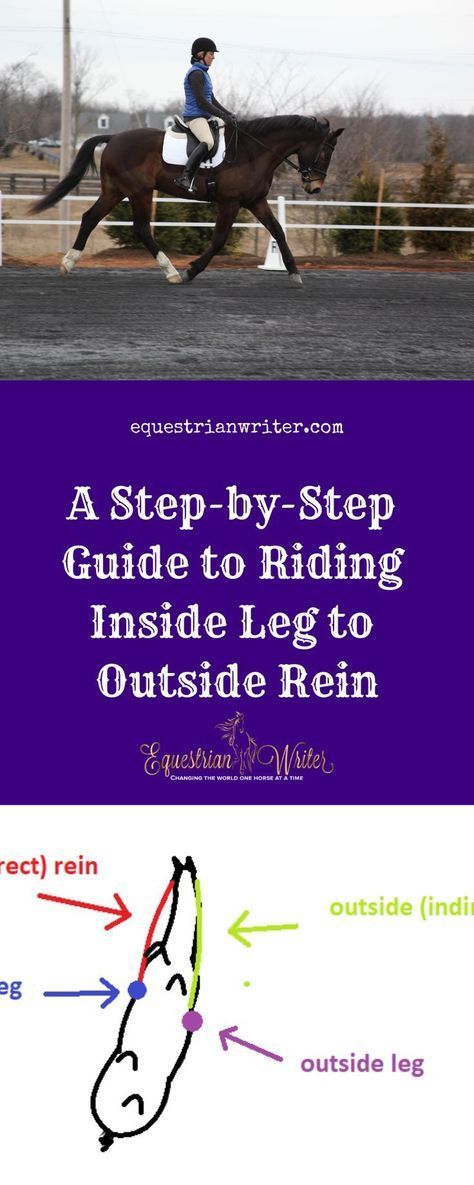 How do I ride inside leg to outside rein? | Equestrian Writer Classical Dressage, Riding Ideas, Western Dressage, Endurance Riding, Dressage Exercises, Dressage Arena, Horse Training Exercises, Horse Lessons, Dressage Training