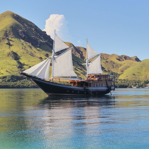 Labuan Bajo Tour Package | Flores Komodo Tour | Hello Flores Labuan Bajo Aesthetic, Clay Aesthetic, Komodo Island Boat Trip, Sembalun Lombok, Pulau Komodo, Labuan Bajo Indonesia, Labuan Bajo, Komodo National Park, Komodo Island