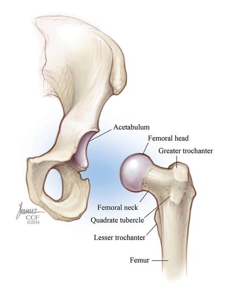 Hip Labral Tear: Symptoms, Causes, Treatments Hip Impingement Exercises, Hip Labral Tear, Torn Labrum, Hip Dislocation, Sagittal Plane, Hip Exercises, Hip Problems, Yoga Anatomy, Hip Dysplasia