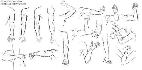 Arms and hands reference by Sellenin.deviantart.com on @DeviantArt Leg Reference, Hands Reference, Arm Drawing, Male Torso, Drawing Help, Hand Reference, Reference Sheet, Fandom Art, Anatomy Drawing