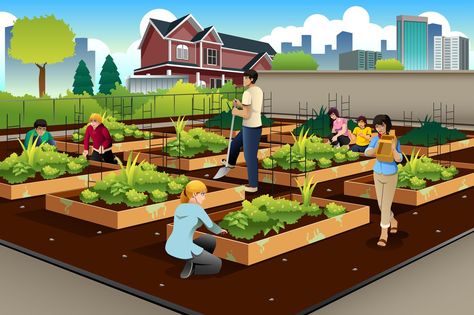 A closer look at how community gardens and urban farms are transforming American cities. Vector Illustration People, Benefits Of Gardening, Growing Greens, Urban Agriculture, Areas Verdes, Community Garden, Better Homes And Garden, Backyard Inspo, Red Barns