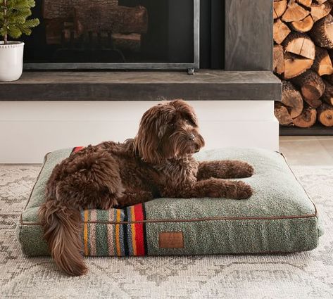 Pendleton | Pottery Barn Stylized Dog, Pet Camping, Cama Pet, Dogs Stuff, Camping Blanket, Dog Products, Vintage Camping, Heather Green, Puppy Care