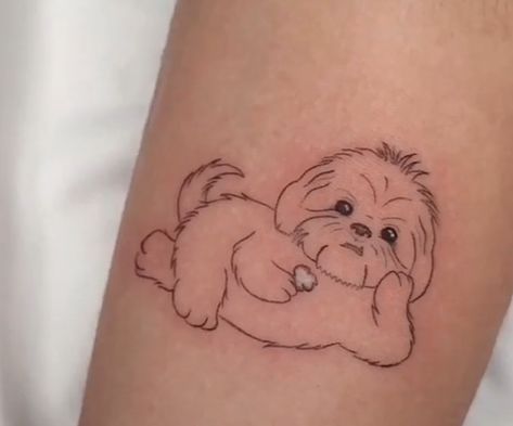 Shih Tzu Tattoo, Tragus Tattoo, Daschund Tattoo, Skin Doodles, Small Dog Tattoos, Perro Shih Tzu, Pawprint Tattoo, Dog Memorial Tattoos, Dog Illustrations