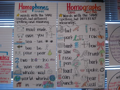 homophones and homographs Homographs Anchor Chart, Homophone Activities, Homophones Anchor Chart, Ela Anchor Charts, Multiple Meaning Words, Classroom Anchor Charts, Reading Anchor Charts, 4th Grade Reading, Teaching Language Arts