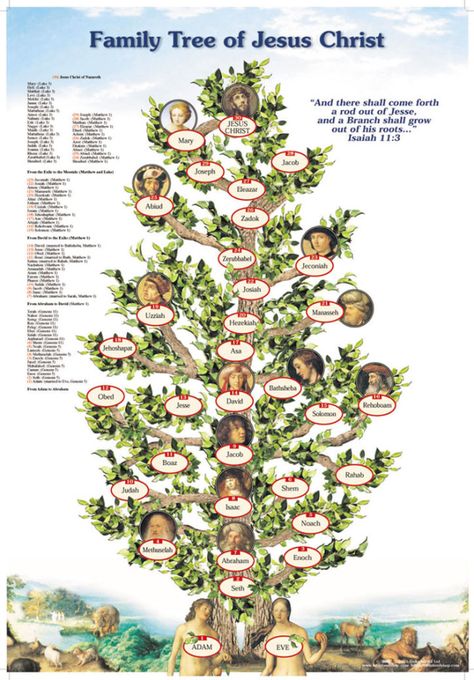 JESUS FAMILY TREE RECORDS – GOD'S HOTSPOT Old Testament Family Tree, Lineage Of Jesus, Jesus Family Tree, Bible Family Tree, Bible Genealogy, Family Tree With Pictures, Genealogy Of Jesus, Family Tree Poster, Bible Mapping