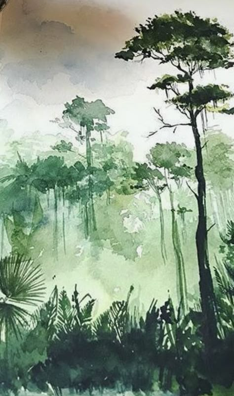 Costa Rica Art, Jungle Tattoo, Painting Trees, Jungle Illustration, Diy Watercolor Painting, Painting Classes, Diy Watercolor, Watercolor Art Lessons, Painting Tutorials