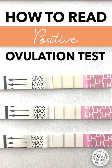 If you are trying to conceive, tracking your ovulation is such an important step you DON'T want to miss. So, how do you know if your ovulation test is positive? Check out my tips on reading your LH test strips! #Ovulation #GettingPregnant #TryingToConceive How To Track Ovulation Cycle, Ovulation Test Progression, Ovulation Tracking Journal, Conceive Chart, Tracking Ovulation, Ovulation Signs, What Is Ovulation, Ovulation Symptoms, Fertile Period