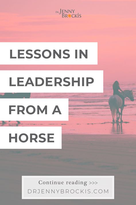 Dr Jenny Brockis | #Leadership | Lessons in Leadership from a Horse - Fundamentally it was a lesson in trust and the understanding that being seen as a worthy leader is a choice made by others. Being A Leader, Earn Trust, Good Leadership Skills, Horse Lessons, Leadership Skill, Leadership Lessons, Effective Leadership, Clear Communication, Leadership Coaching