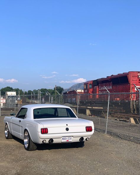 American Muscle Cars Ford, 1966 Mustang Gt, 66 Ford Mustang, Mustang Restoration, White Mustang, Mustang 1966, Ford Mustang Classic, 66 Mustang, 65 Mustang