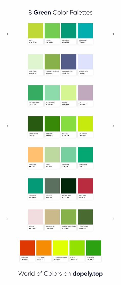 8 Green Color palettes Shamrock Green Color Palette, Complementary Colors For Green, Green Combos Colour Schemes, Green Pairing Color, Complementary Colors To Green, Complimentary Colors For Green, Bright Green Colour Palette, Green Logo Color Palette, Vibrant Green Color Palette