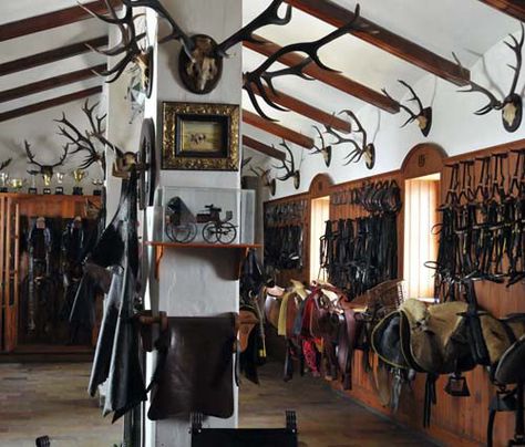 Put all the tack room at the barn in there you would need two of those plus some English Stables, English Tack Room, Saddle Room, Tack Room Organization, English Hunting, Horse Tack Rooms, Barn Hacks, Tack Rooms, Dream Stables