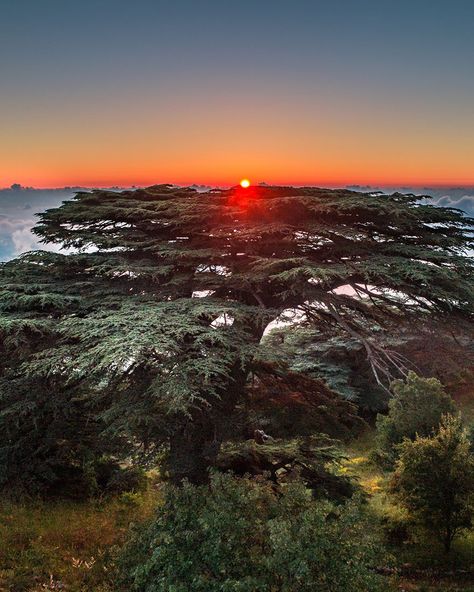 Mount Lebanon, Eastern Countries, Cascade Waterfall, Aerial Images, Beirut Lebanon, Best Sunset, Above The Clouds, Travel Design, Beirut