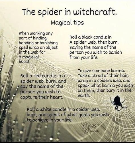 Spiders In Witchcraft, Eyebright Witchcraft, Black Widow Spider Spiritual Meaning, Spider Omens Witchcraft, Spider Witchcraft, Witchcraft Halloween, Hoodoo Spells, Banishing Spell, Traditional Witchcraft