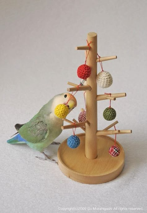 Homemade Bird Toys, Diy Parrot Toys, Parakeet Toys, Diy Bird Toys, Budgie Toys, Pet Bird Cage, Budgies Bird, Bird Accessories, Bird Aviary