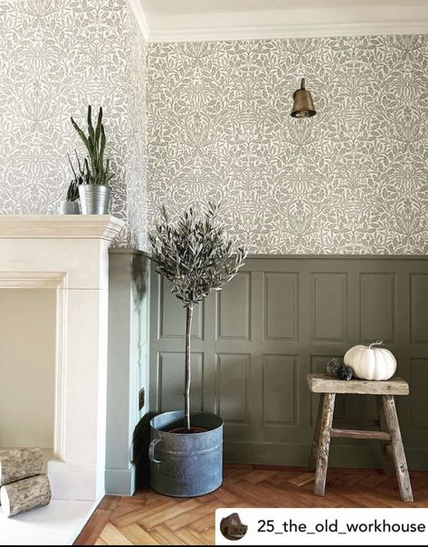 Wall Panelling With Wallpaper, English Cottage Wallpaper, Panelling With Wallpaper, Sage Green Hallway, Green Colour Schemes, Half Wall Panelling, Acorn Wallpaper, Lambriseringen Gang, Fabric Showroom