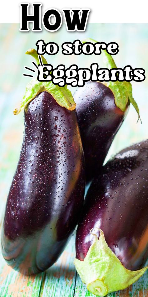 Storing Eggplant, Egg Plant Ideas, Eggplant Freezer Recipes, How To Freeze Eggplant, How To Store Eggplant, Freezing Eggplant, Steamed Eggplant, Eggplant Fries, Storing Eggs