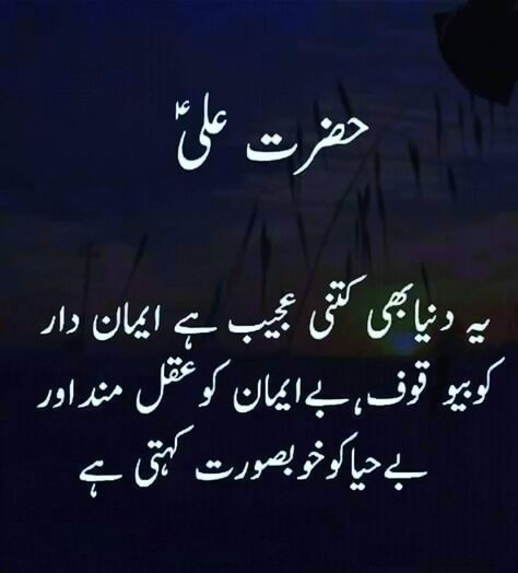 Farman Mola Ali As In Urdu, Nice Dp For Whatsapp Flower, Quotes By Hazrat Ali, Eid Miladunnabi, Nice Dp For Whatsapp, Hassan Ali, Islamic Lines, Moula Ali, Gallery Frame Set