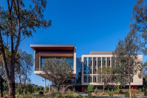 Stanford University School of Medicine ​ Center for Academic Medicine - HOK Stanford Medicine, Second Story Porch, Economy Design, Courtyard Plants, Engineering Consulting, Connect With Nature, University School, Collaboration Space, California Design