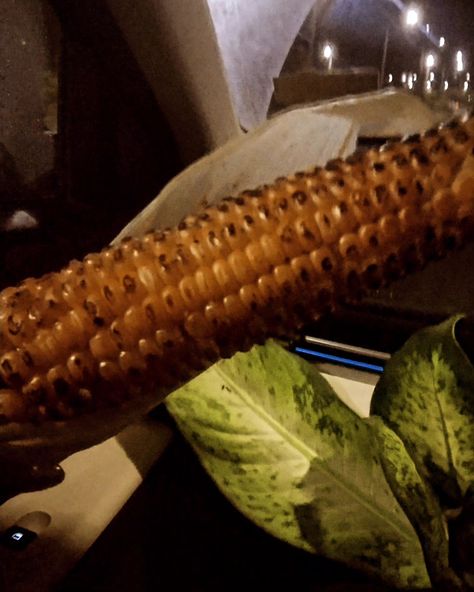 Corn-tastic!! Indulging in the golden goodness of sweet corn....... #corn #sweetcorn #bhutta #cornonthecob #maize #mukbangseafoodboil #soybeans #eatwithque #blovessauce #elote #blove #boil #elotes #bloveslife #milho #maiz #cornfield #cornsalad #wheat #johndeere #agriculture #colheita #seafoodboil #mais #soybean #sasasmr #stara #harvest #combine #longdrive B Loves Sauce, Seafood Boil, Corn Salads, Maize, Sweet Corn, The Golden, Agriculture, Wheat, Corn