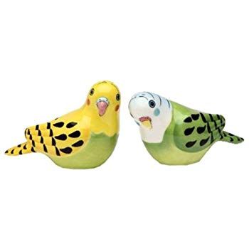 AmazonSmile: Appletree 2-1/8-Inch Ceramic Yellow and Green Parakeet Salt and Pepper: Salt And Pepper Shaker Sets: Kitchen & Dining Yellow Parakeet, Green Parakeet, Parakeet Bird, Budgie Parakeet, Salt And Pepper Grinders, Salt Shaker, Salt And Pepper Set, Yellow And Green, Salt And Pepper Shaker