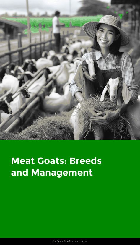 Brief description of meat goats



In the world of livestock production, meat goats play a significant role. 



These goats are specifically raised for the purpose of providing meat to consumers. 



Meat goats, raised primarily for their meat production, include breeds like Boer and Kiko. 



Known for robustness and rapid growth, these goats thrive in various climates. 



Successful meat goat farming involves proper nutrition, healthcare, and breeding for optimal yields.



 Importance of choosing the right breed for meat production



Choosing the right breed for meat production is crucial, as different breeds have varying characteristics that can affect meat quality and yield. 



Selecting breeds like Boer or Kiko ensures robust growth, high-quality meat, and . . . Goats Breeds, Kiko Goats, Meat Goats, Goat Health, Goat Herding, Boer Goats, Dairy Goats, Best Meat, Goat Farming