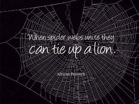 African Proverb, when spider webs unite they can tie up a lion Spider Quotes, Famous Proverbs, Africa Quotes, Web Quotes, Team Motivation, Lion Quotes, African Proverb, Thinking Quotes, Spider Webs