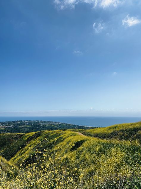 Malibu superbloom los angeles hiking Los Angeles Hike Aesthetic, Los Angeles Nature, Downtown Los Angeles Aesthetic, Los Angeles Hikes, Los Angeles Hiking, Malibu Mountains, Malibu Hikes, Birthday Moodboard, Hikes In Los Angeles