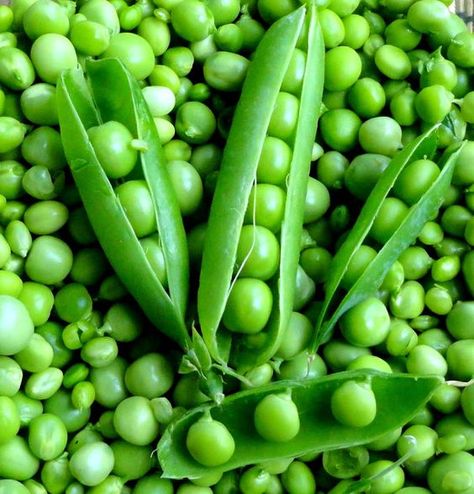 Vegetable Photos, Spring Fruits, Vegetables Photography, Spring Peas, Buy Seeds, Fruit Photography, Pea Pods, Fruit Seeds, Tomato Seeds