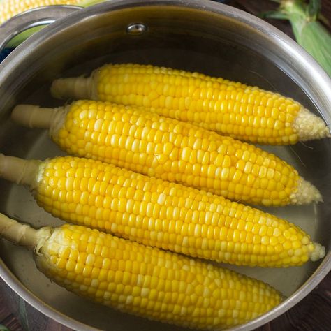 How to Boil Corn on the Cob Sweet Corn On The Cob Boiled, Corn On The Cob Boiled, How To Boil Corn, Boiling Corn, Boil Corn On The Cob, Sweet Corn On The Cob, Boiled Corn, How Much Sugar, Boiled Water