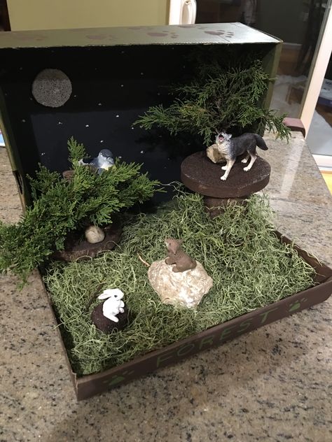 Wolf Diarama Shoebox Diarama Ideas, Diarama Ideas Kids, Wolf Habitat Projects For Kids, Forest Diorama Shoebox School Projects, Habitat Diaroma, Wolf Diorama Ideas, Wolf Habitat Diorama, Wolf Habitat, Arctic Wolf Diorama