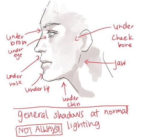 Side view head reference | Drawing & Illustration Tips and ... Side View Of Face, Profile Drawing, Face Profile, Face Reference, Side Profile, Anatomy Reference, Digital Art Tutorial, Drawing Tips, A Drawing