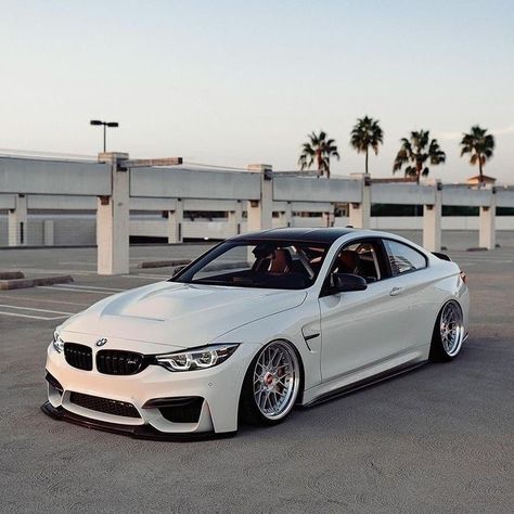 Bmw Cars White, Bmw M4 White, Bmw Stance, Cars Outside, Bmw White, White Bmw, Impala Ltz, Luxury Cars Bmw, Bmw Sports Car