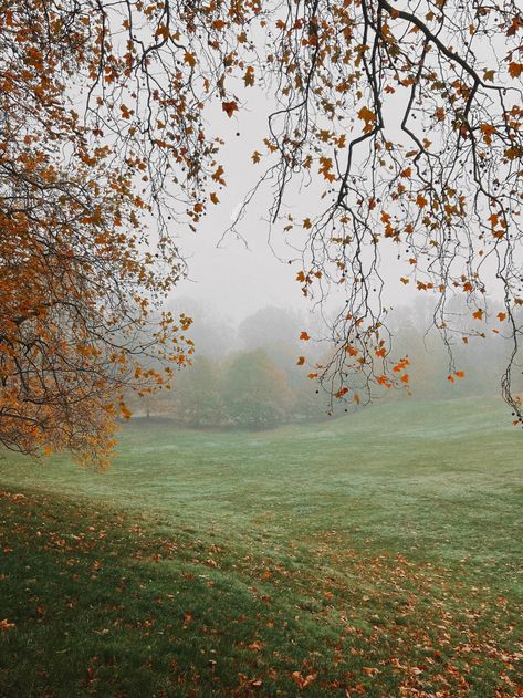 Season Of The Witch, Fall Feels, Best Seasons, We Fall In Love, Autumn Cozy, Autumn Aesthetic, Samhain, The Grass, Nature Aesthetic