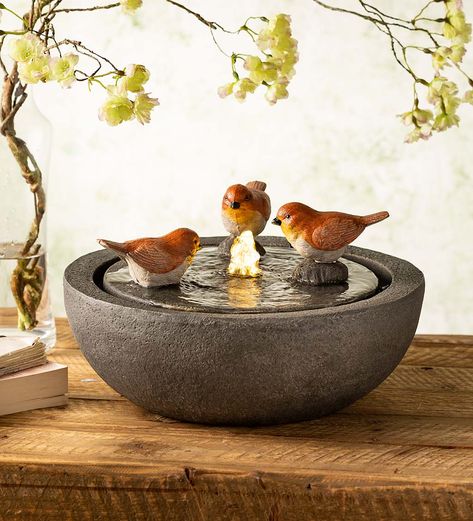 Budda Fountain Water Features, Ceramic Fountain Handmade, Ceramic Koi Fish Garden, Fish Fountain Sculpture, Bowl Fountain, Plant Classroom, Ceramic Water Fountain Tabletop, Indoor Tabletop Fountains, Bird Fountain