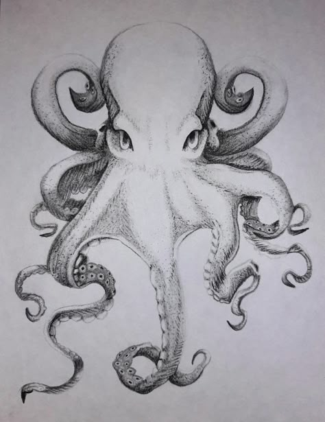 Charcoal and ink 2020 #octopus #art #black and white #vintage style #art #drawing #minimalist Octopus Wrapped Around Drawing, Giant Octopus Drawing, Cracken Octopus Drawing, Octopus Head Drawing, Drawing Of An Octopus, Sketches Of Octopus, Octopus Drawing Color, Black And White Octopus Tattoo, Gurita Art