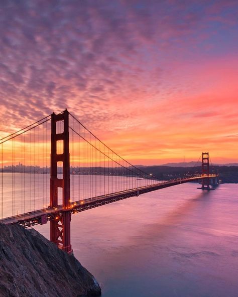 Golden Gate Bridge Aesthetic, Golden Bridge San Francisco, Golden State Bridge, Golden Gate Bridge Sunset, Golden Gate Bridge Wallpaper, Bridge Scenery, Golden Gate Bridge Painting, Bridge Sunset, Beautiful Bridges