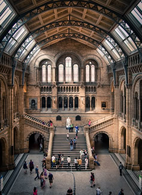 European Museum, Old Museum, Museum Building, Museum Exterior, History Museum Aesthetic, London History Museum, Natural History Museum London, Museum Photography, San Myshuno