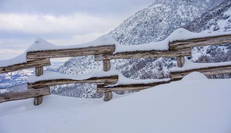 Wooden fence with snow. Buil wooden fence with snow , #affiliate, #fence, #Wooden, #snow, #wooden, #Buil #ad Wood Fence Design, Country Fences, Wooden Fence, Wood Fence, Fence Design, Fence, Photo Image, Design Ideas, Outdoor Furniture